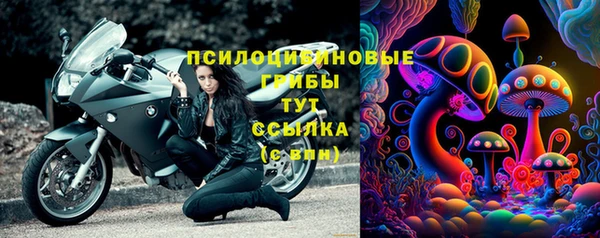 ПСИЛОЦИБИНОВЫЕ ГРИБЫ Балахна