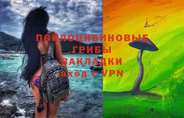 ПСИЛОЦИБИНОВЫЕ ГРИБЫ Балахна