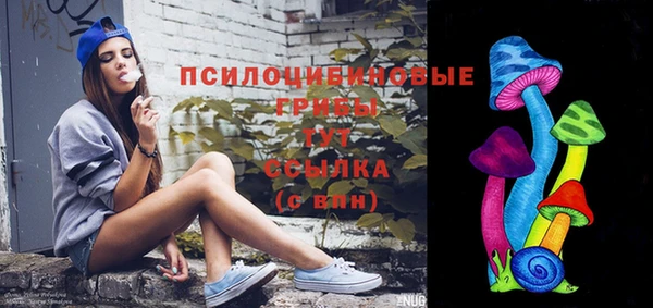ПСИЛОЦИБИНОВЫЕ ГРИБЫ Балахна