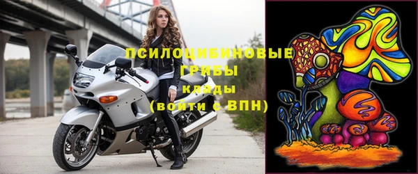 ПСИЛОЦИБИНОВЫЕ ГРИБЫ Балахна