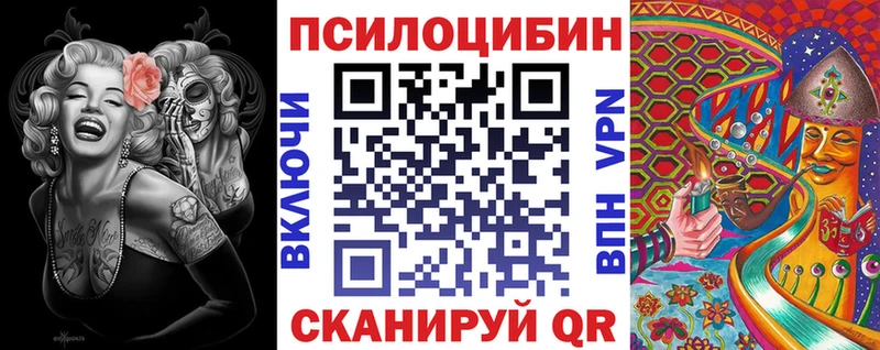 Псилоцибиновые грибы Psilocybine cubensis Семикаракорск